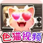 色猫